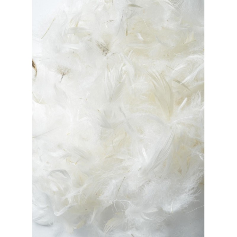 Coussin de garnissage en plumes de canard - 35 x 45 cm